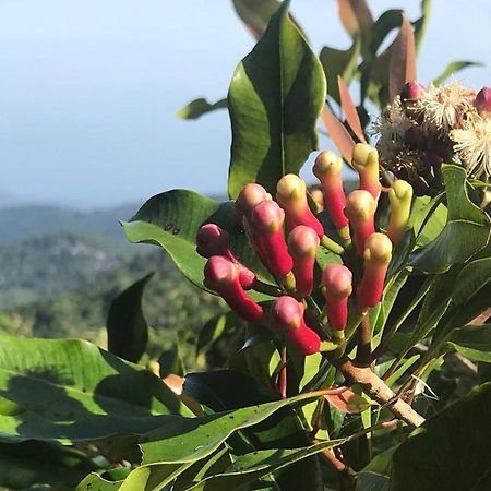 Munduk Clove Villa Eksteriør bilde